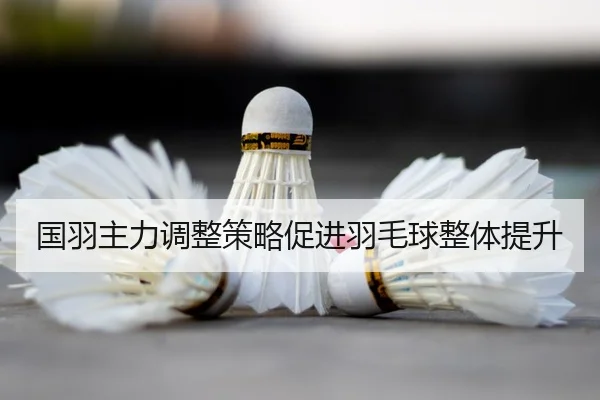 国羽主力调整策略促进羽毛球整体提升